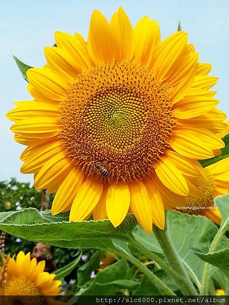 2014-10-01-10-25-12_deco[1]