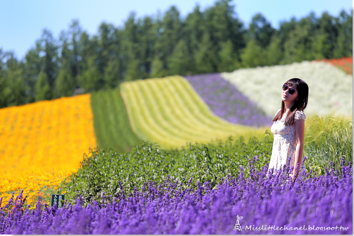 小香妹乐悠活: 痞客邦