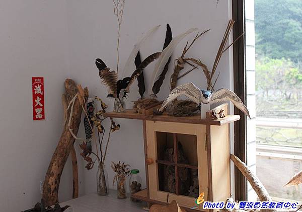 IMG_3895 IMG_3895