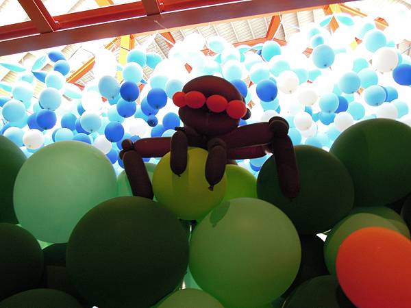 DSCN1869.JPG DSCN1869.JPG