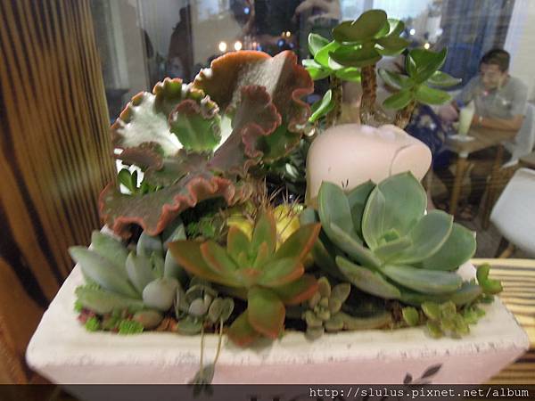 DSCN1984.JPG DSCN1984.JPG