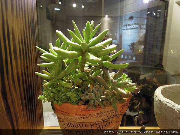 DSCN1985.JPG DSCN1985.JPG