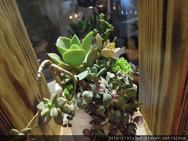 DSCN1987.JPG DSCN1987.JPG