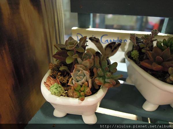 DSCN1991.JPG DSCN1991.JPG