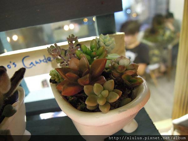 DSCN1992.JPG DSCN1992.JPG