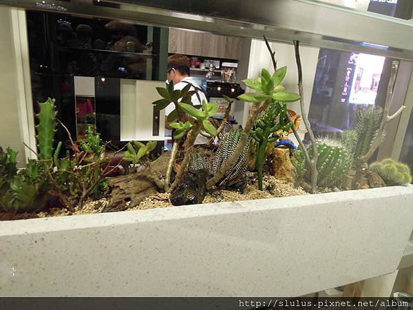 DSCN1998.JPG DSCN1998.JPG