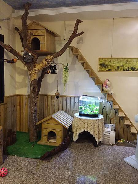 20141116_155920.jpg 20141116_155920.jpg