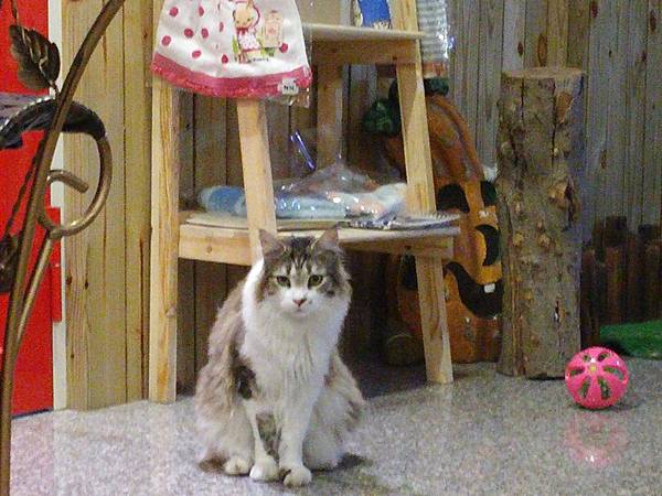 20141116_161358.jpg 20141116_161358.jpg