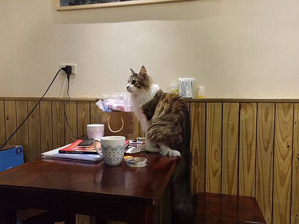 20141116_161613.jpg 20141116_161613.jpg