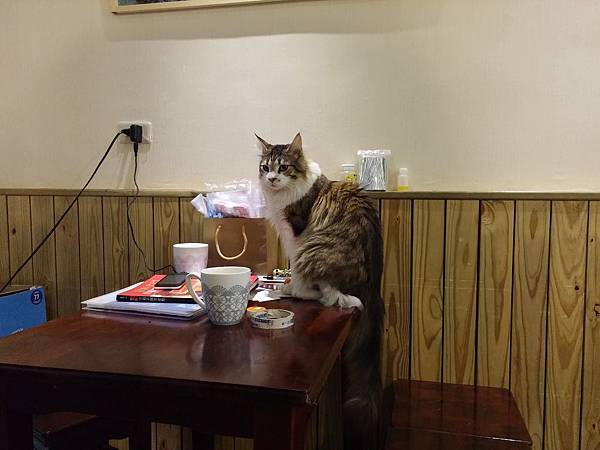 20141116_161619.jpg 20141116_161619.jpg