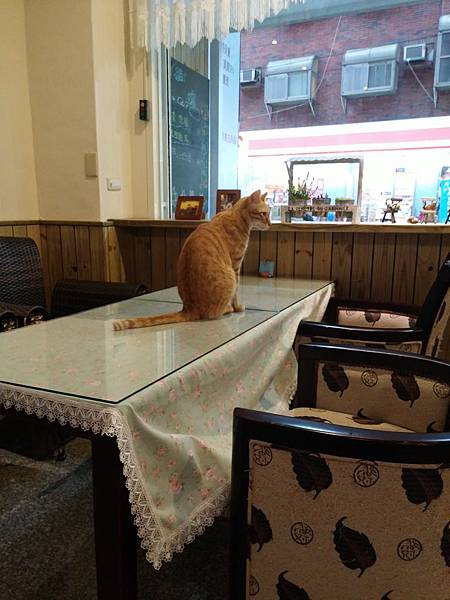 20141116_162008.jpg 20141116_162008.jpg