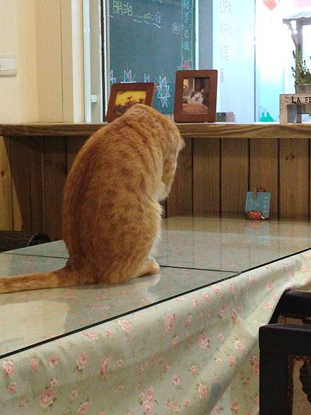 20141116_162028.jpg 20141116_162028.jpg