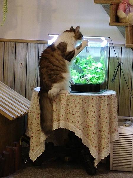 20141116_162659.jpg 20141116_162659.jpg