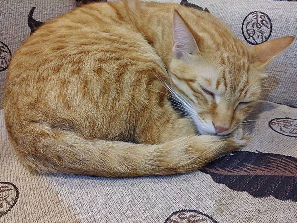 20141116_164611.jpg 20141116_164611.jpg