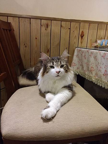 20141116_164721.jpg 20141116_164721.jpg