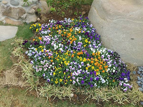 20141115_142219.jpg 20141115_142219.jpg