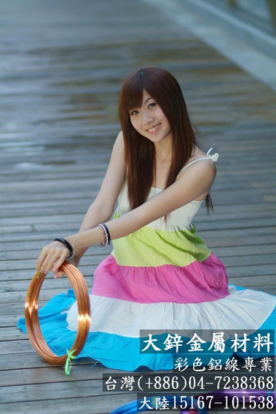 鋁線 鋁線diy 1mm彩色鋁線 鋁線折字 鋁線娃娃 鋁線作品創作 鋁線創意 大鋅金屬 (4).jpg 鋁線 鋁線diy 1mm彩色鋁線 鋁線折字 鋁線娃娃 鋁線作品創作 鋁線創意 大鋅金屬 (4).jpg