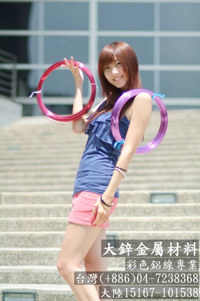 彩色鋁線 鋁線創作 鋁線飾品 鋁線教學 鋁線工具 鋁線串珠 鋁線手工藝 大鋅金屬 (2).jpg 彩色鋁線 鋁線創作 鋁線飾品 鋁線教學 鋁線工具 鋁線串珠 鋁線手工藝 大鋅金屬 (2).jpg