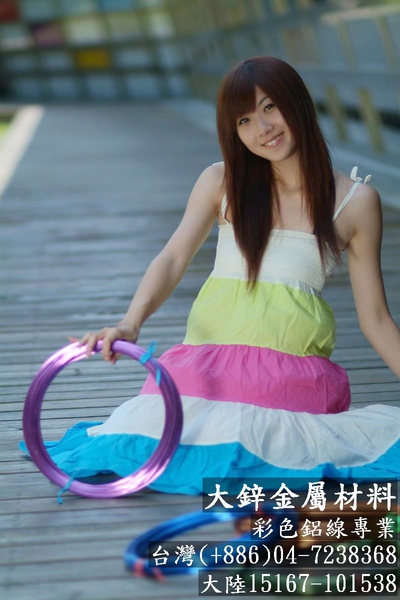 彩色鋁線 鋁線創作 鋁線飾品 鋁線教學 鋁線工具 鋁線串珠 鋁線手工藝 大鋅金屬 (1).jpg 彩色鋁線 鋁線創作 鋁線飾品 鋁線教學 鋁線工具 鋁線串珠 鋁線手工藝 大鋅金屬 (1).jpg