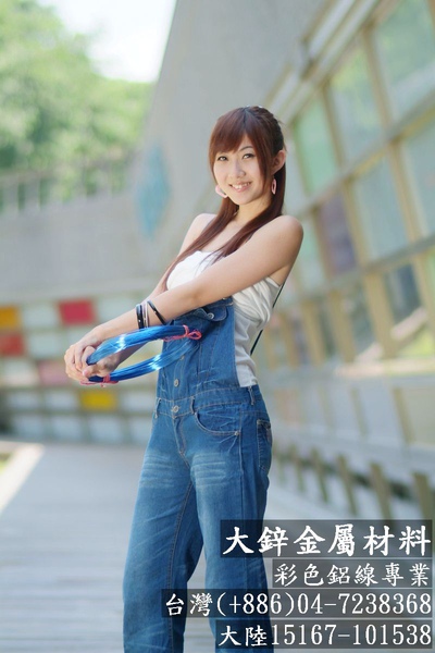 彩色鋁線 鋁線創作 鋁線飾品 鋁線教學 鋁線工具 鋁線串珠 鋁線手工藝 大鋅金屬.jpg 彩色鋁線 鋁線創作 鋁線飾品 鋁線教學 鋁線工具 鋁線串珠 鋁線手工藝 大鋅金屬.jpg