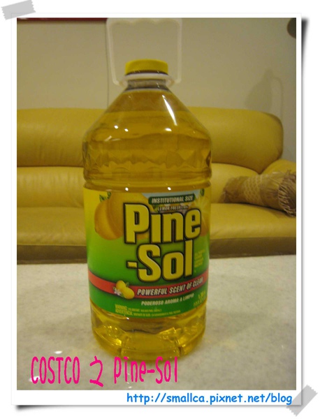 pine-sol.jpg