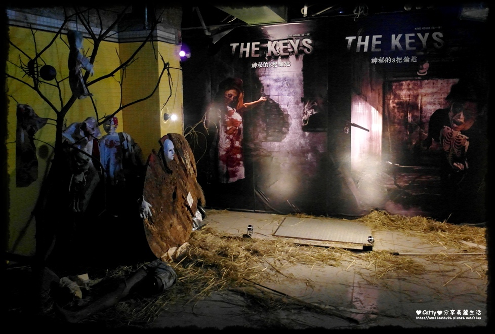 根鸟读后感手抄报