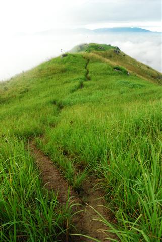 broga hill (61) (Small).JPG