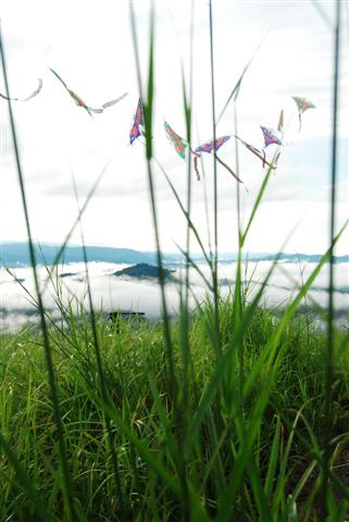 broga hill (111) (Small).JPG