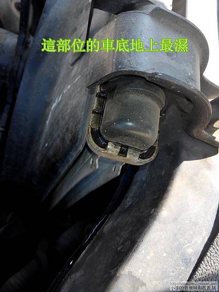 IMG_20141120_134919_nEO_IMG IMG_20141120_134919_nEO_IMG