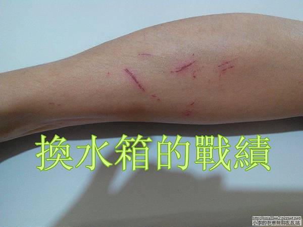 IMG_20141122_135931_nEO_IMG IMG_20141122_135931_nEO_IMG