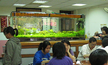 4ba0528b70f68.jpg 4ba0528b70f68.jpg