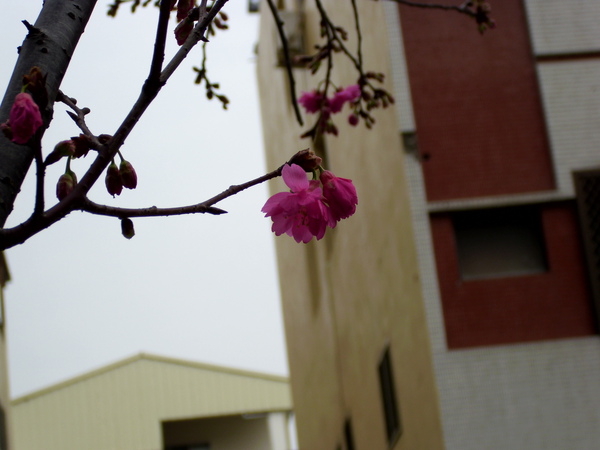 DSCI0005.JPG DSCI0005.JPG