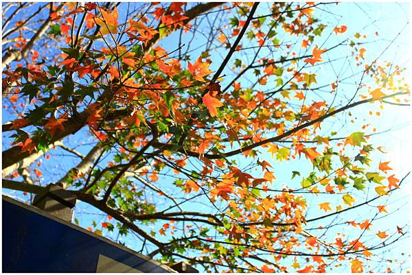 IMG_9314.JPG IMG_9314.JPG