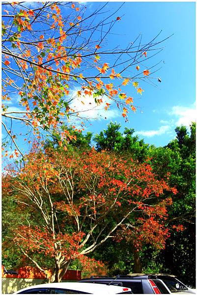 IMG_9316.JPG IMG_9316.JPG