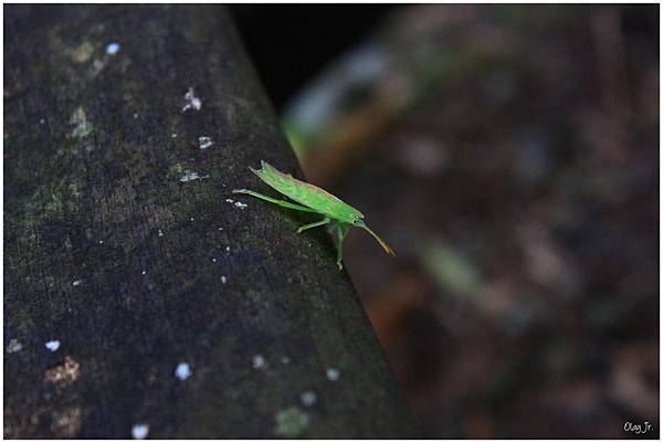 IMG_9327.JPG IMG_9327.JPG