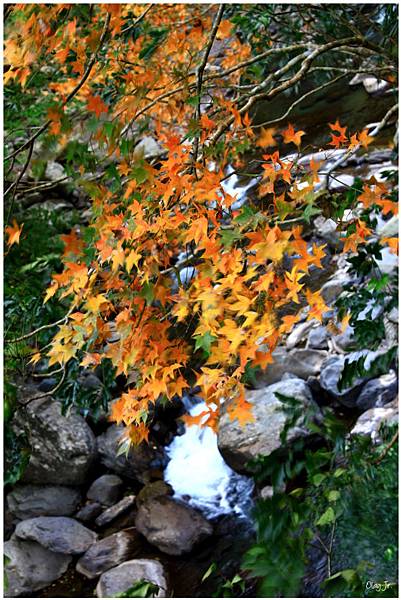 IMG_9358.JPG IMG_9358.JPG