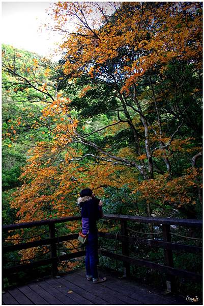 IMG_9364.JPG IMG_9364.JPG