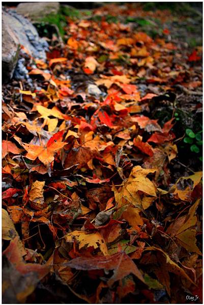 IMG_9391.JPG IMG_9391.JPG