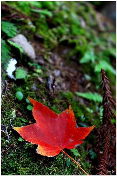 IMG_9405.JPG IMG_9405.JPG