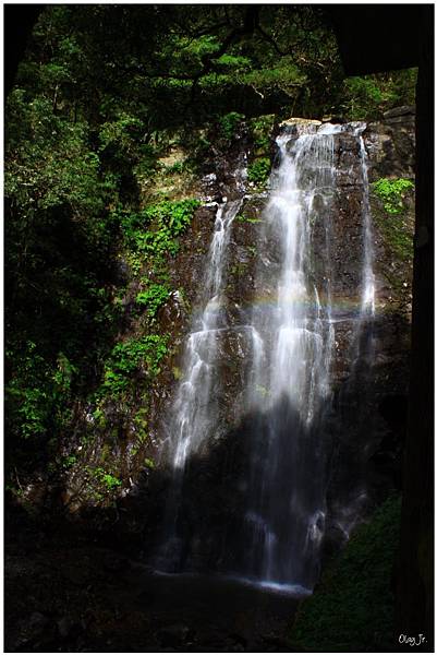 IMG_9432.JPG IMG_9432.JPG