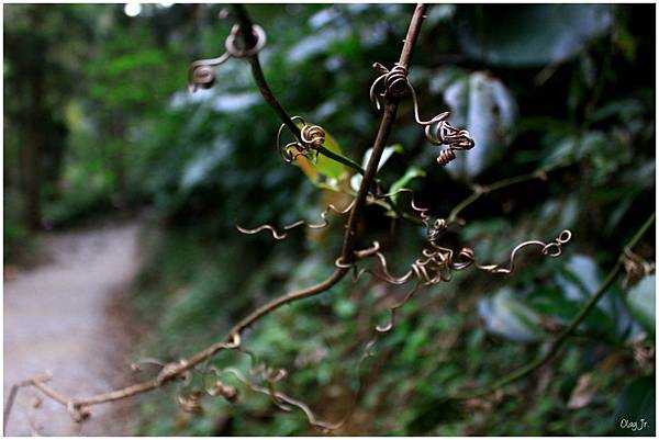 IMG_9479.JPG IMG_9479.JPG