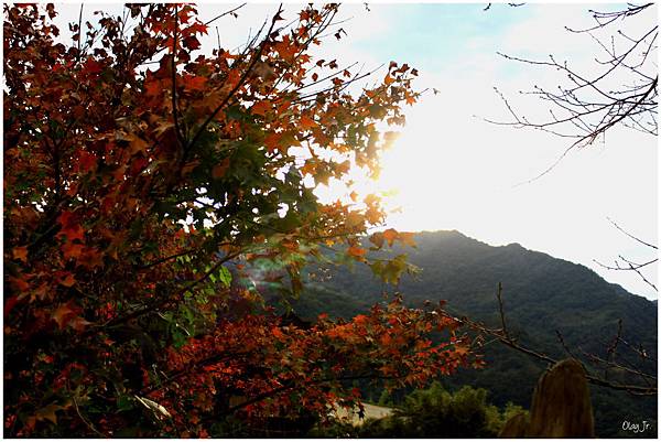 IMG_9525.JPG IMG_9525.JPG