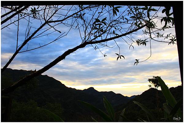 IMG_9556.JPG IMG_9556.JPG