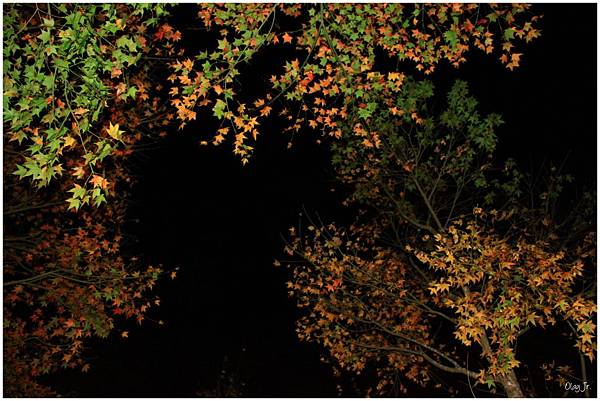 IMG_9584.JPG IMG_9584.JPG