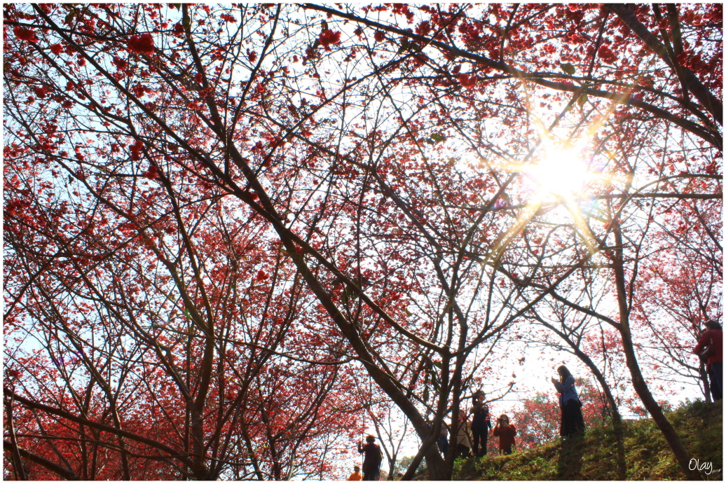 IMG_2043.JPG IMG_2043.JPG