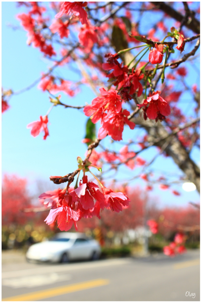 IMG_1927.JPG IMG_1927.JPG