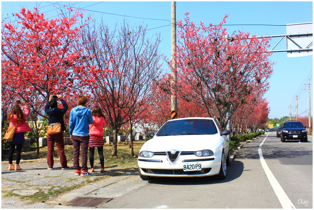 IMG_1929.JPG IMG_1929.JPG