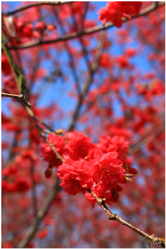 IMG_1931.JPG IMG_1931.JPG