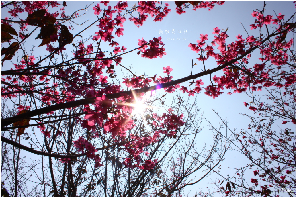 IMG_1938.JPG IMG_1938.JPG