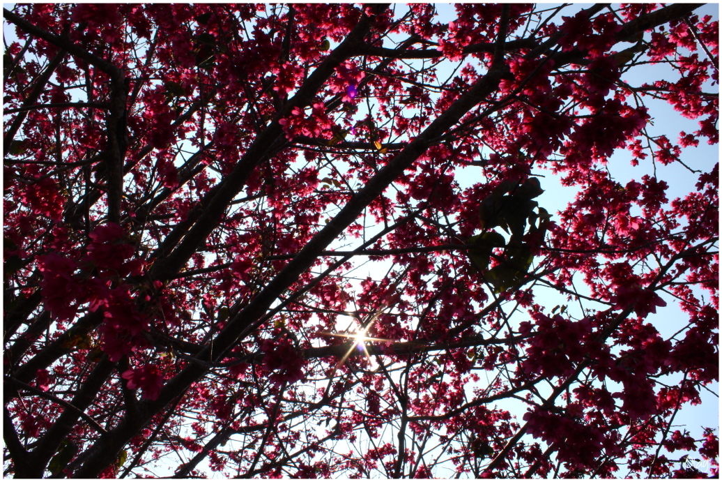 IMG_1942.JPG IMG_1942.JPG